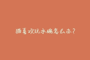 猫喜欢玩水碗怎么办?
