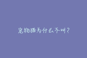 宠物猫为什么不叫?