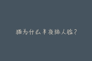 猫为什么半夜舔人脸?