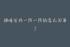 猫咪发抖一阵一阵的怎么回事?
