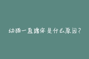 幼猫一直蹭你是什么原因?