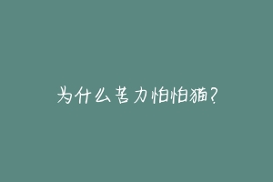 为什么苦力怕怕猫？
