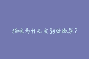 猫咪为什么会到处撒尿？