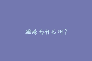 猫咪为什么叫?