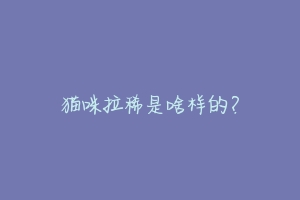 猫咪拉稀是啥样的？
