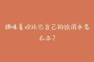 猫咪喜欢玩它自己的饮用水怎么办?