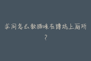 求问怎么教猫咪在蹲坑上厕所?