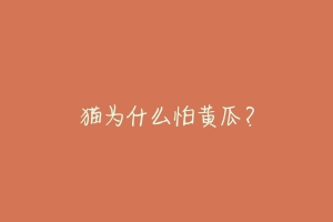猫为什么怕黄瓜?
