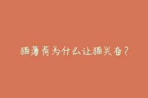 猫薄荷为什么让猫兴奋?