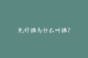光纤猫为什么叫猫?