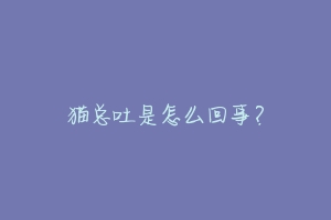猫总吐是怎么回事?