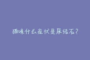 猫咪什么症状是尿结石?