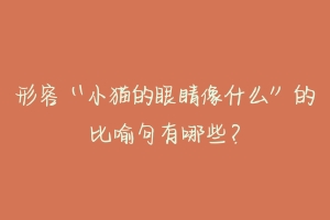 形容“小猫的眼睛像什么”的比喻句有哪些?