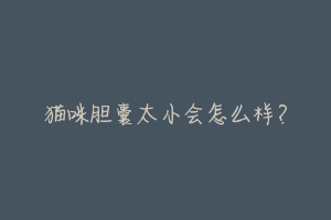 猫咪胆囊太小会怎么样?