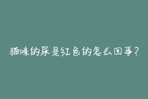 猫咪的尿是红色的怎么回事?
