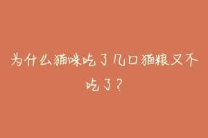 为什么猫咪吃了几口猫粮又不吃了?