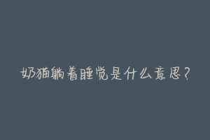 奶猫躺着睡觉是什么意思?
