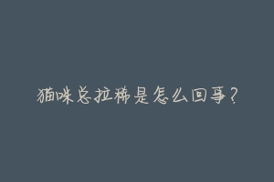 猫咪总拉稀是怎么回事?