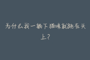 为什么我一躺下猫咪就跳在头上?