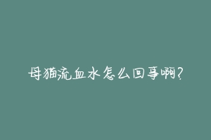 母猫流血水怎么回事啊?