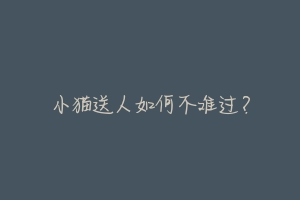 小猫送人如何不难过?