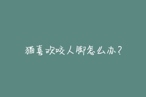 猫喜欢咬人脚怎么办?