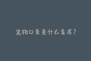 宠物口炎是什么意思?