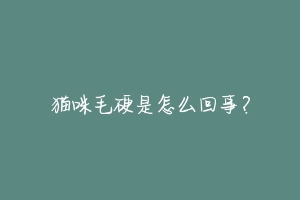 猫咪毛硬是怎么回事?