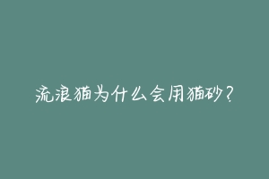 流浪猫为什么会用猫砂?