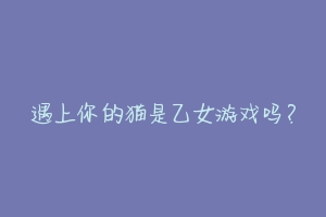 遇上你的猫是乙女游戏吗?