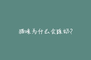 猫咪为什么会踩奶?