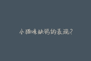 小猫咪缺钙的表现?