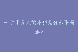 一个半月大的小猫为什么不喝水?
