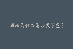 猫咪为什么喜欢摸下巴?