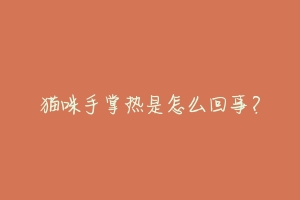 猫咪手掌热是怎么回事?