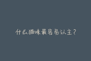 什么猫咪最容易认主?