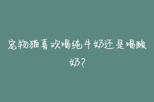 宠物猫喜欢喝纯牛奶还是喝酸奶?
