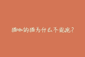 猫咖的猫为什么不能抱?