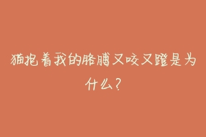 猫抱着我的胳膊又咬又蹬是为什么?