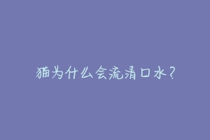 猫为什么会流清口水?