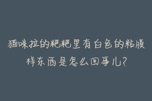 猫咪拉的粑粑里有白色的粘膜样东西是怎么回事儿?