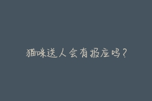 猫咪送人会有报应吗?