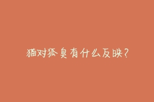 猫对狐臭有什么反映?