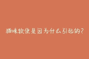 猫咪软便是因为什么引起的?