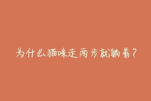 为什么猫咪走两步就躺着?