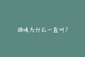 猫咪为什么一直叫？