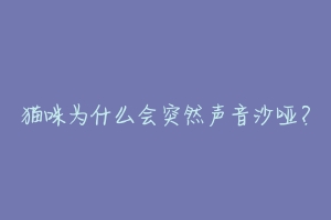 猫咪为什么会突然声音沙哑?