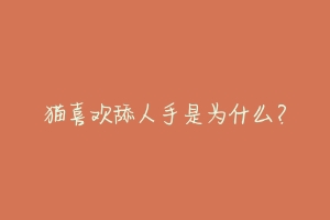 猫喜欢舔人手是为什么？
