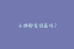 小猫都有泪痕吗?