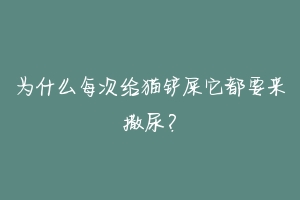 为什么每次给猫铲屎它都要来撒尿?